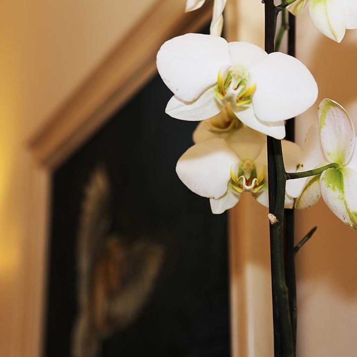 Fernbank House Guest House Aberfeldy Perthshire Scotland