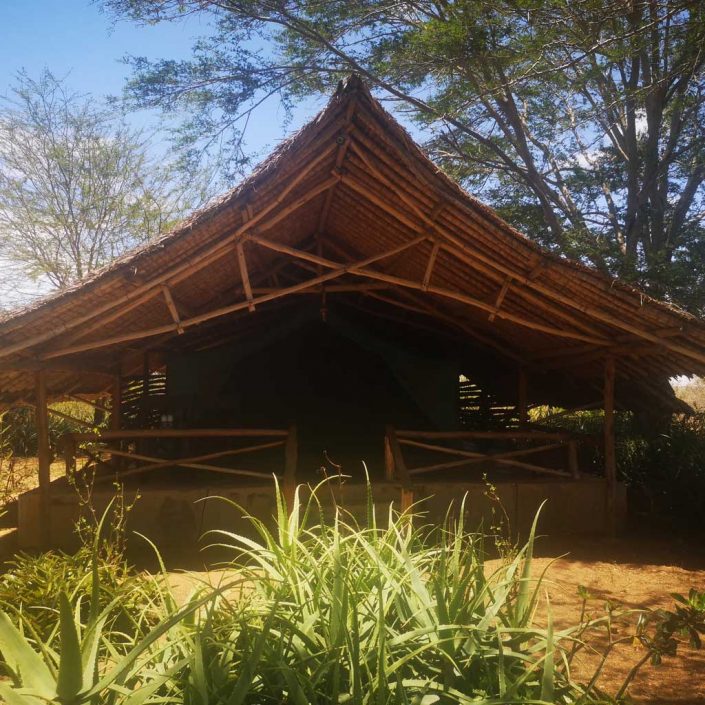 Fernbank House Tina Logan Yoga Classes and Instruction in Highland Perthshire